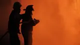Kebakaran Gedung Dinas Teknis Abdul Muis, Informasi Penanganan dan Kantor Bapenda DKI