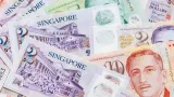 Komisi III Minta Kasus Peredaran Dolar Singapura Palsu Diusut Tuntas