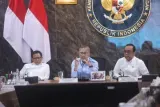 Pemerintah Prioritaskan Ibu Hamil, Balita, dan Daerah 3T untuk Program Makan Bergizi Gratis