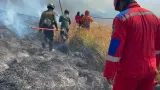 Langkah Antisipasi bagi Pelaku Usaha Pariwisata Menghadapi Kebakaran Gunung Bromo