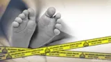 Penemuan Jenazah Bayi di Klinik Amalia Pondok Aren dan Penangkapan Pelaku