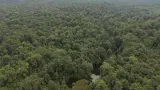 Panduan Kepatuhan Hukum Usaha Alat Berat, Pelajaran dari Kasus Taman Nasional Bukit Barisan Selatan