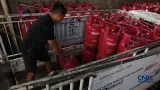 Daftar Harga Resmi LPG 3 Kg, 5,5 Kg, dan 12 Kg per 6 Agustus 2026