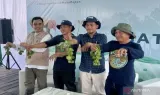 Pemulihan Produktivitas Tambak Desa Sepatin Melalui Rehabilitasi Mangrove