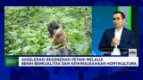 Cara Meningkatkan Produksi Sayuran dengan Benih Tahan Hama dan Cuaca Ekstrem