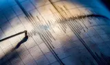 Gempa Magnitudo 5,6 Guncang Barat Laut Halmahera Barat Tanpa Potensi Tsunami